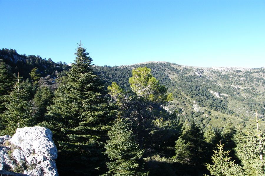 Interpretative trails in Sierra de las Nieves
