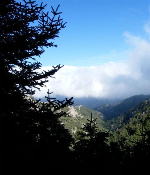 Trekking in Málaga 